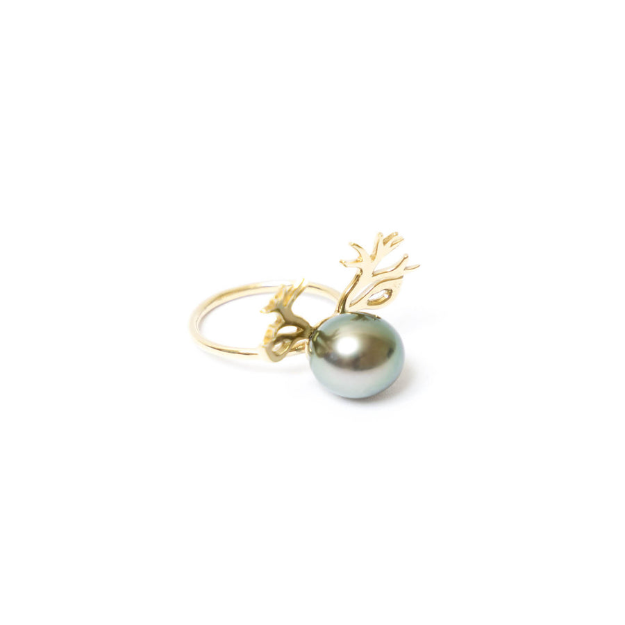 WILD DEER CULTURED PEARL